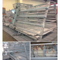 Layer Chicken Farm Battery Poultry Cage Feeding Equipment